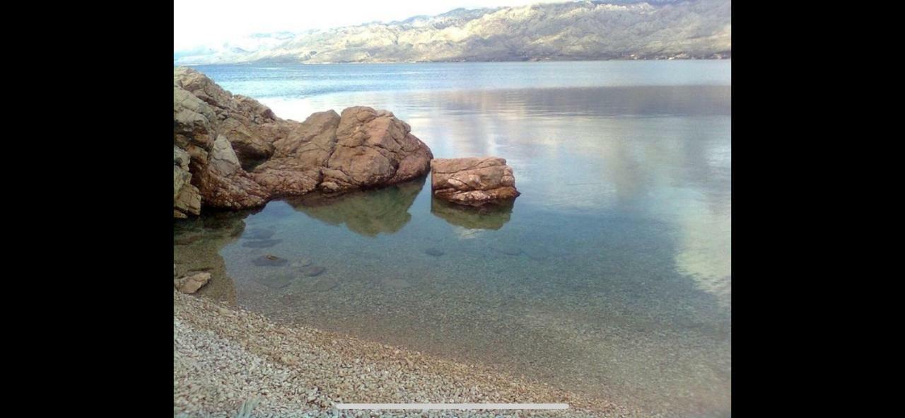 Villa Paludo Novigrad  Dış mekan fotoğraf